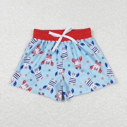 Sibling Baby Boys 4th Of July Star Western Trunks Swimsuits 5.9